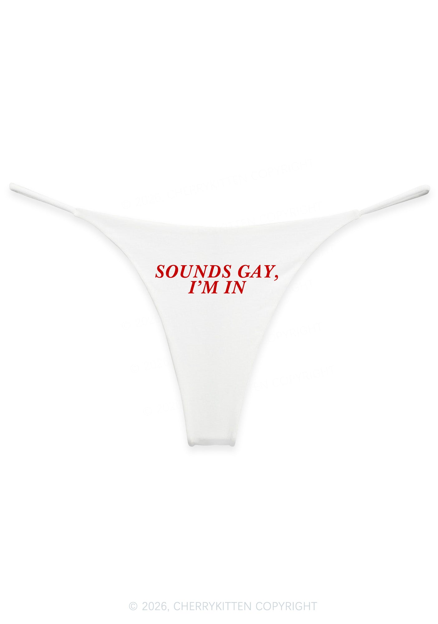 Sounds Gay Im In Pride Y2K Bikini String Thong Cherrykitten