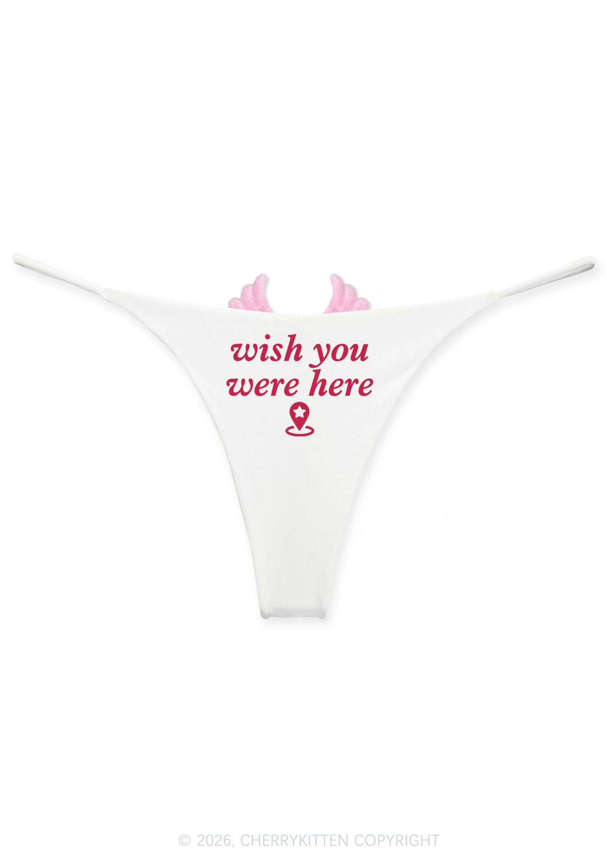 Wish You Were Here Y2K Goth Angel Wings Bikini String Thong Cherrykitten