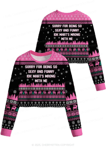 Sorry For Being So Funny Y2K Christmas Crop Knit Sweatshirt Cherrykitten