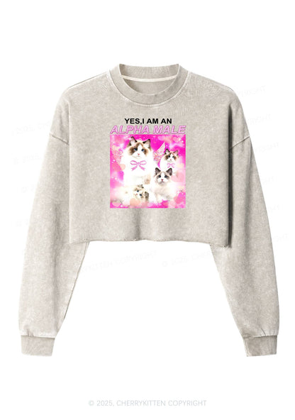 Alpha Male Y2K Crop Washed Sweatshirts Cherrykitten