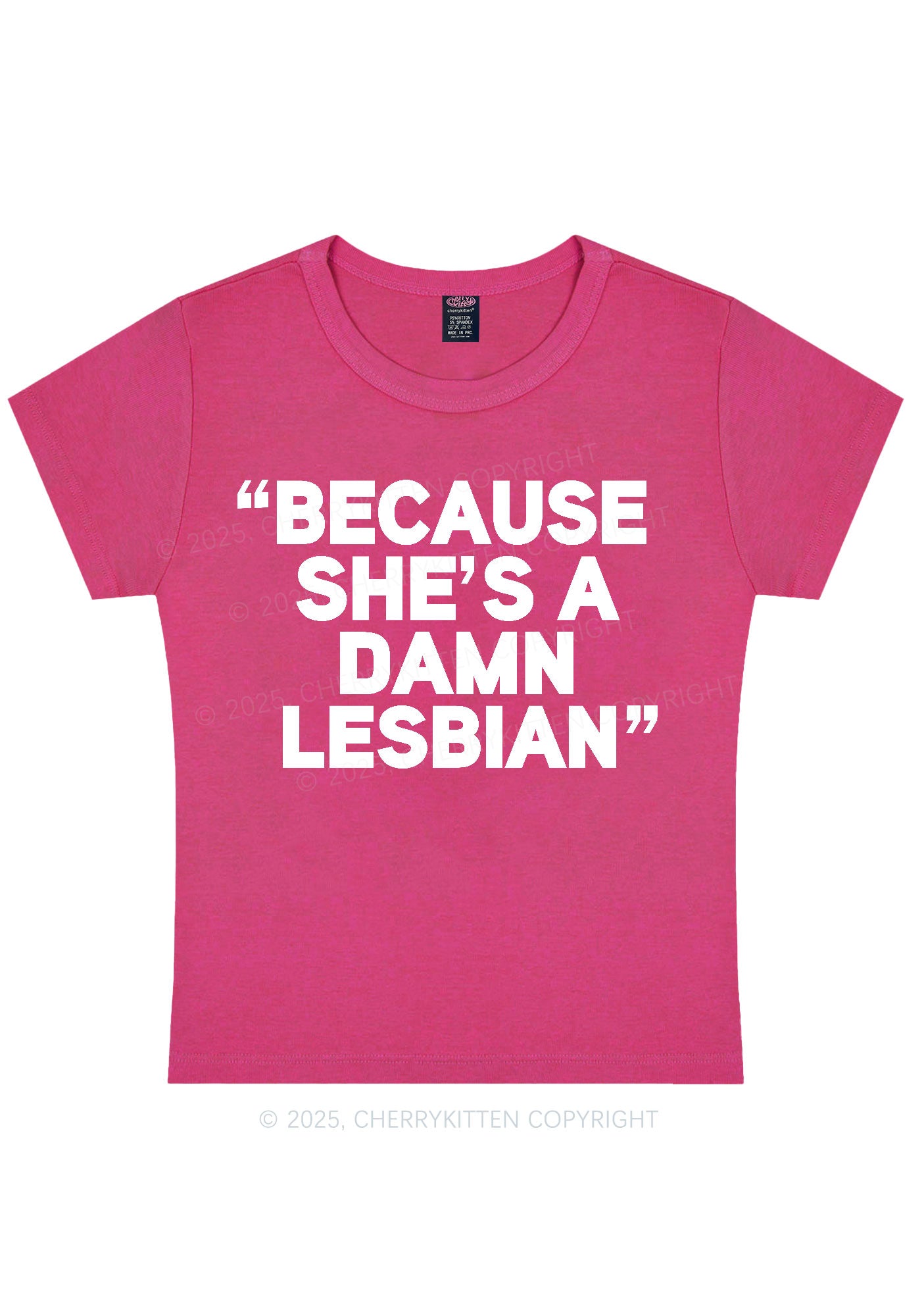 She's A Damn Lesbian Y2K Baby Tee Cherrykitten