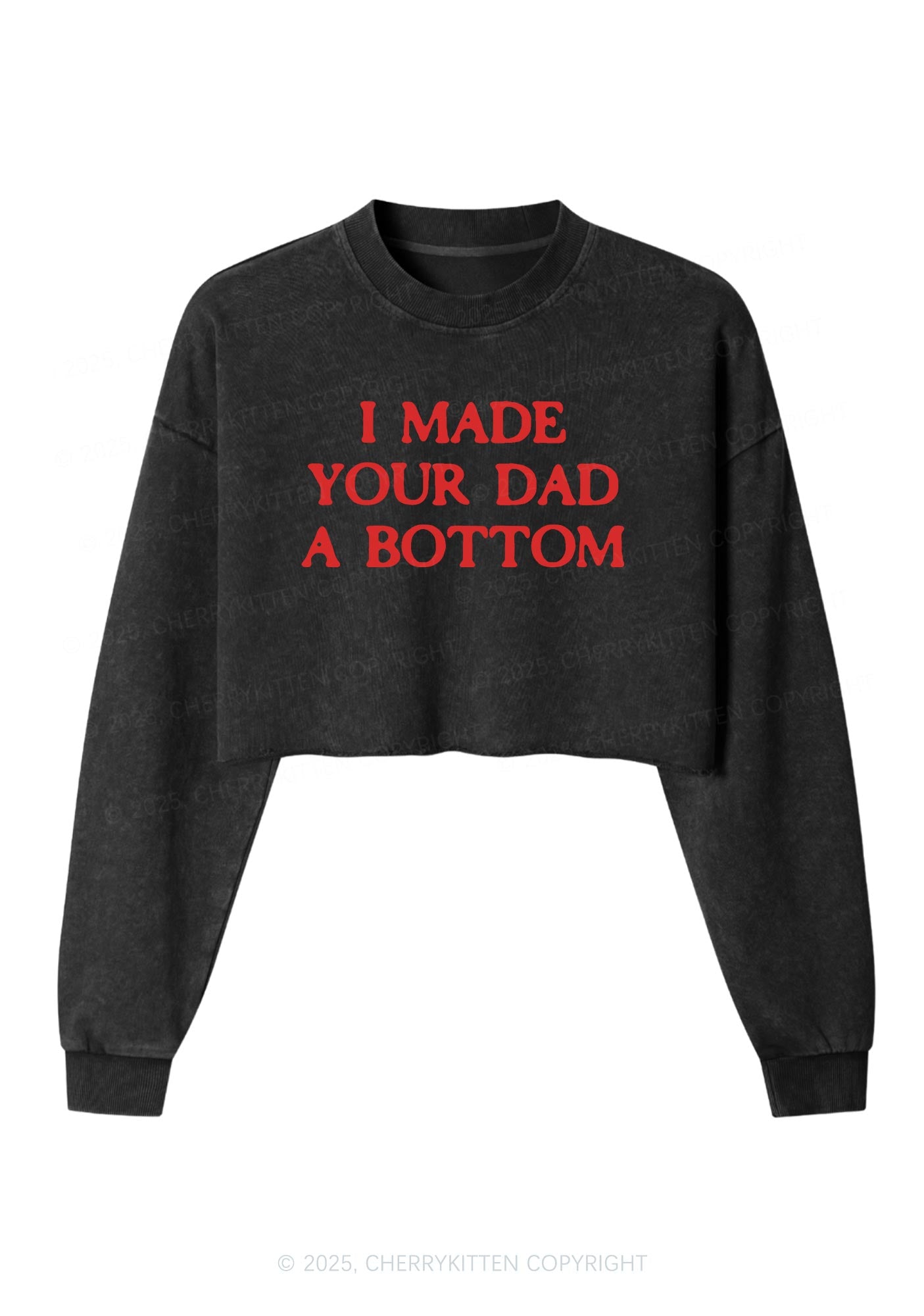 Made Your Dad Bottom Pride Y2K Crop Washed Sweatshirts Cherrykitten
