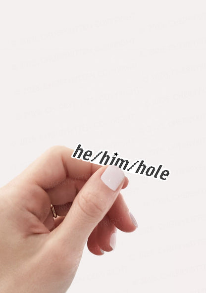 He Him Hole Pride 1pc Y2K Sticker Cherrykitten