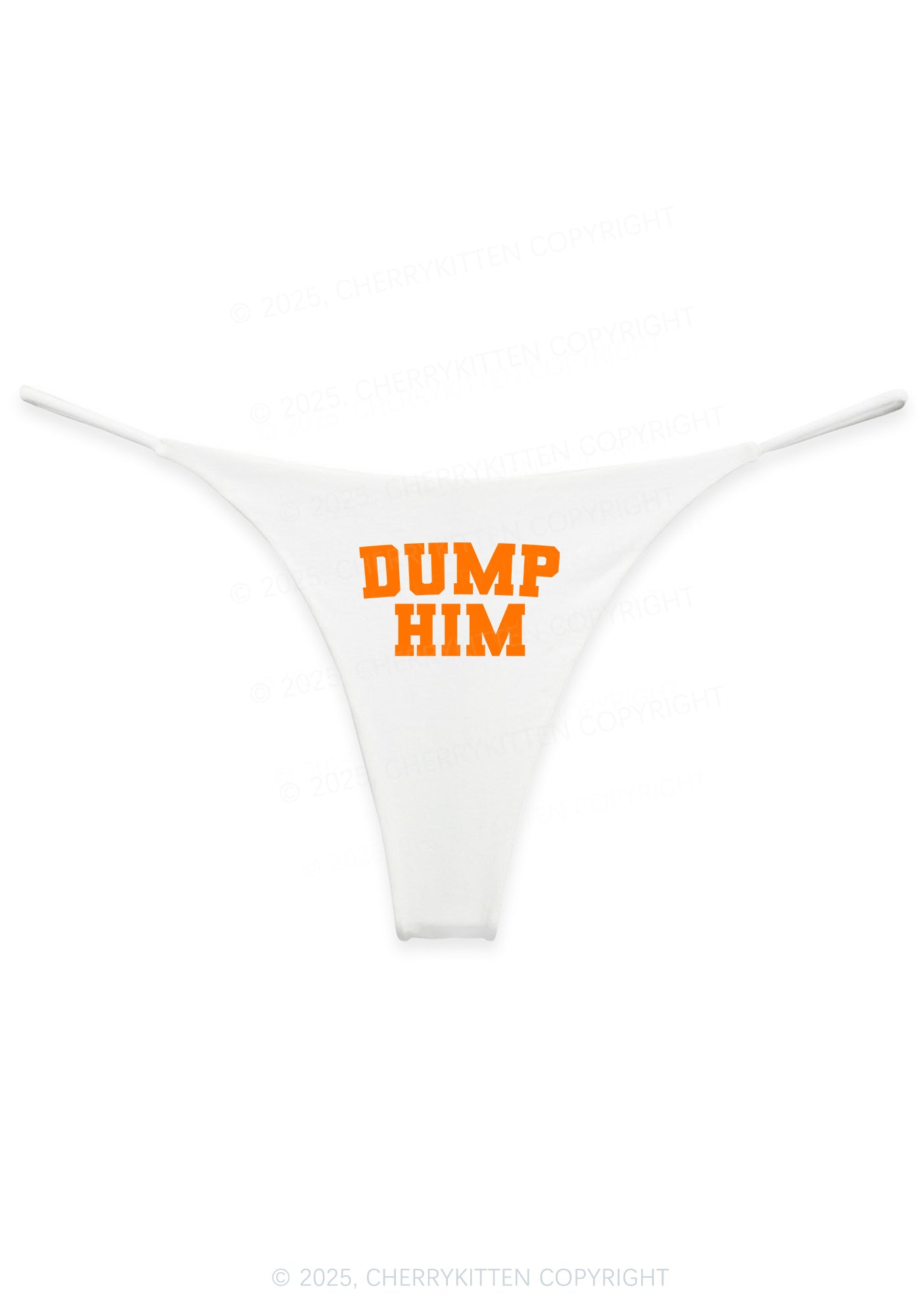 Dump Him Y2K Bikini String Thong Cherrykitten