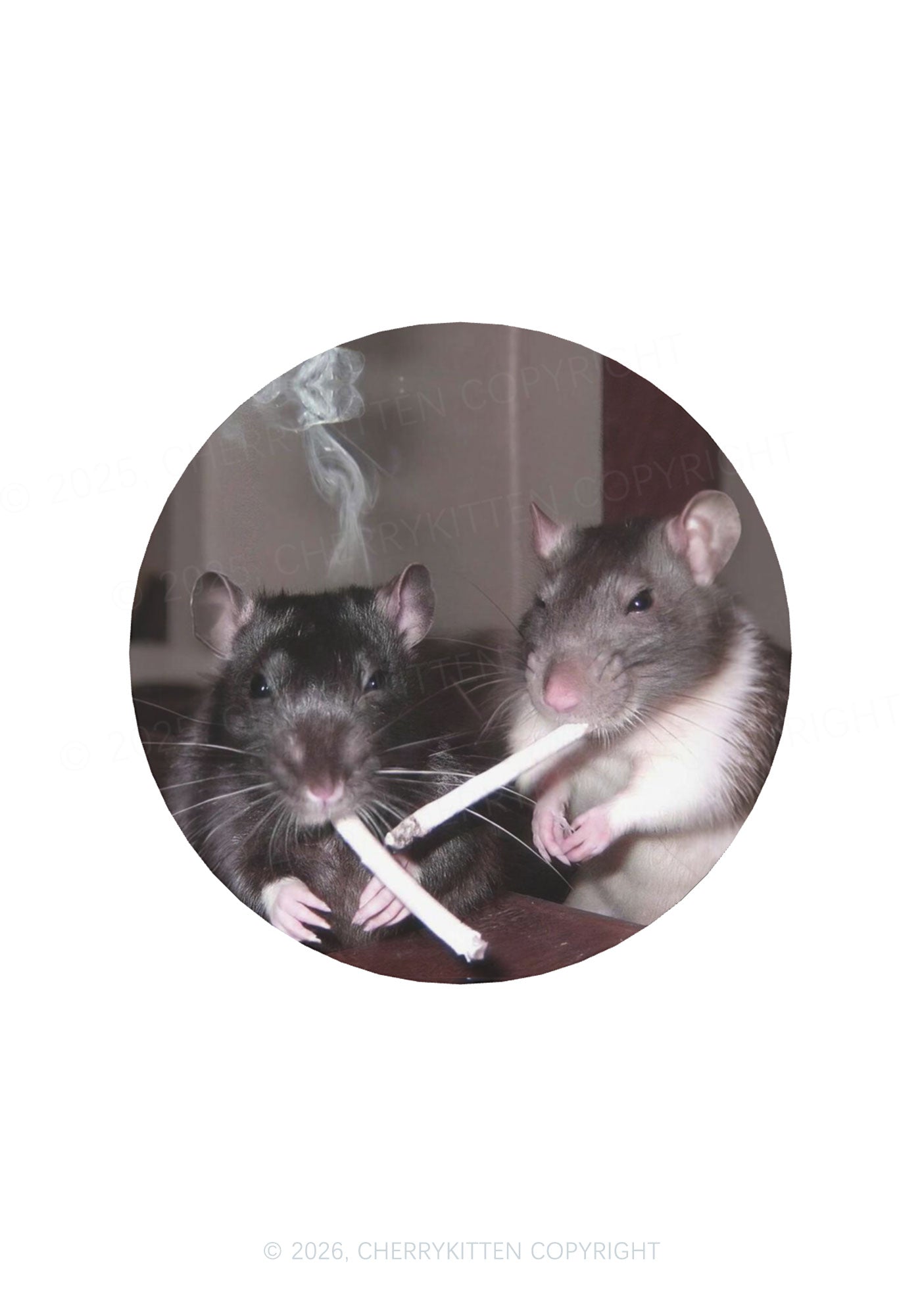 Smoking Rats Y2K Soft Magnetic Refrigerator Magnet Cherrykitten