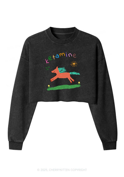 Orange Pony Y2K Crop Washed Sweatshirts Cherrykitten