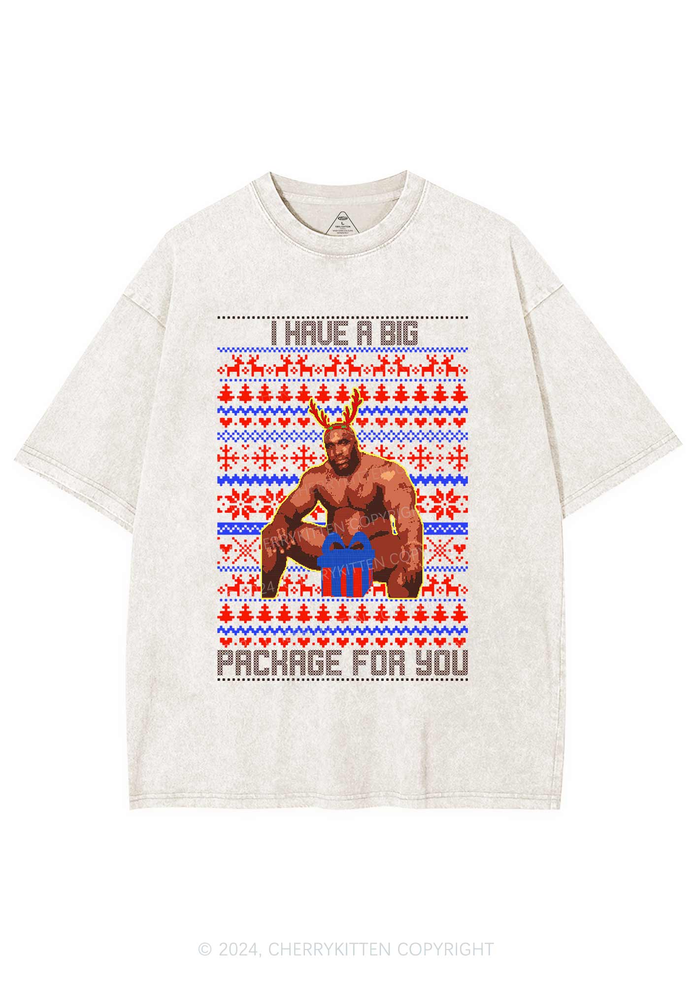 Big Pachage For You Y2K Washed Tee Cherrykitten