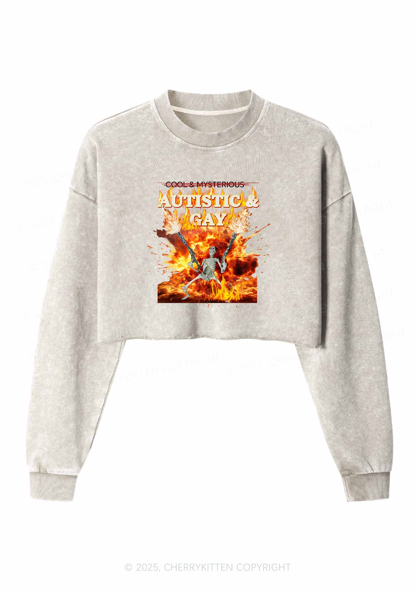 Autistic Gay Skeleton Pride Y2K Crop Washed Sweatshirts Cherrykitten