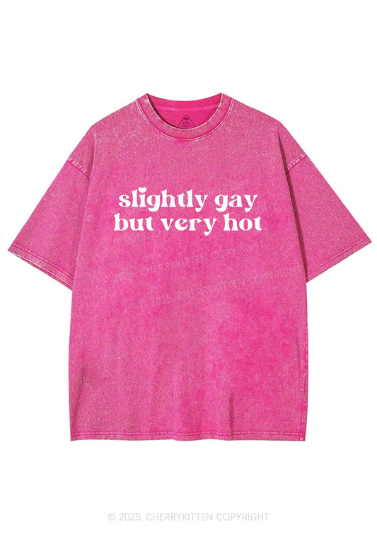 Slightly Gay But Very Hot Pride Y2K Shirts Washed Tee Cherrykitten