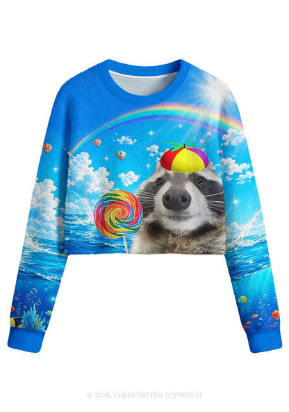 Rainbow Lollipop Raccoon Y2K Crop Knit Sweatshirt Cherrykitten