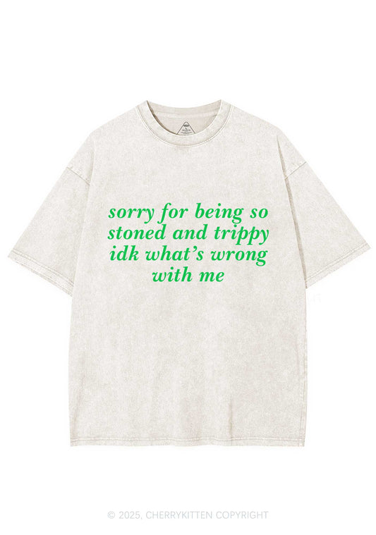 Sorry For Being Stoned And Trippy Y2K Shirts Washed Tee Cherrykitten