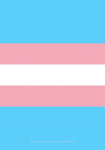 Trans Flag Pride 1Pc Y2K Pin Badge Cherrykitten