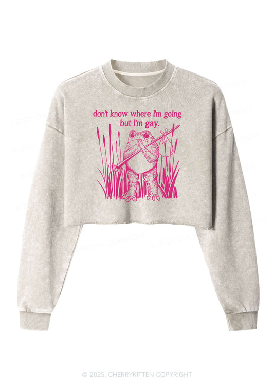 But I Am Gay Frog Pride Y2K Crop Washed Sweatshirts Cherrykitten