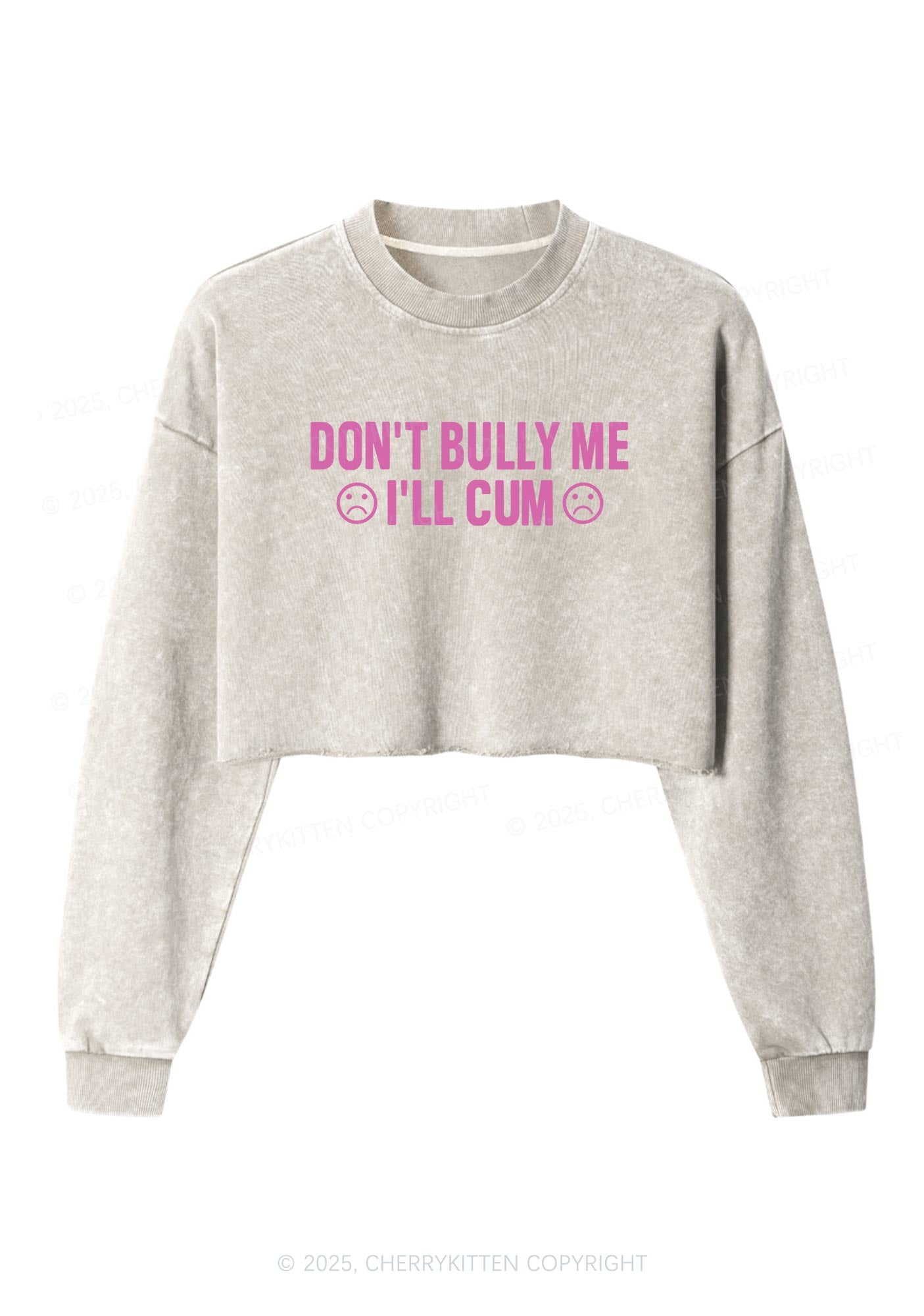 Dont Bully Me Y2K Crop Washed Sweatshirts Cherrykitten