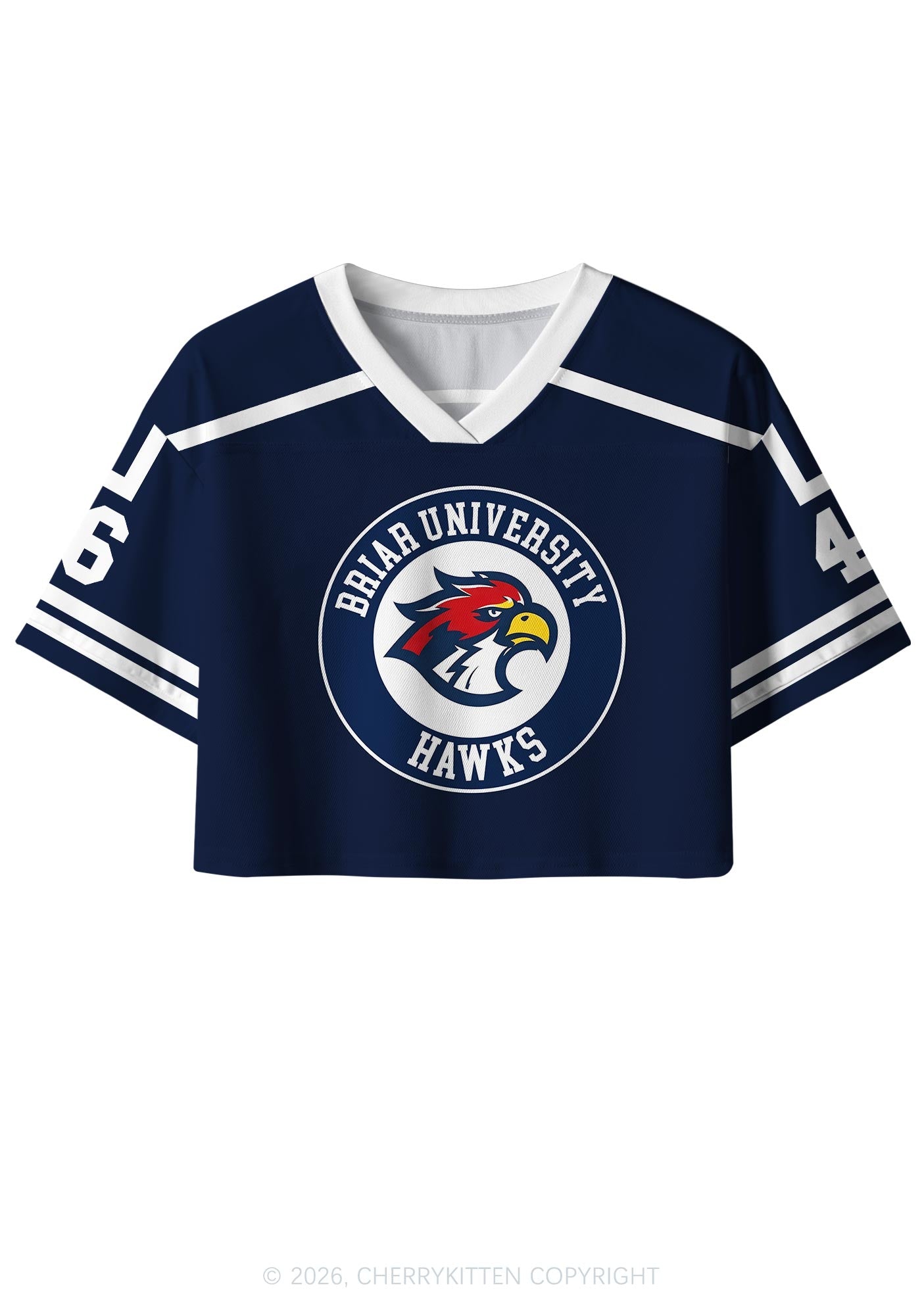 College Hockey Team JT Y2K Crop Sport Jersey Shirts Cherrykitten
