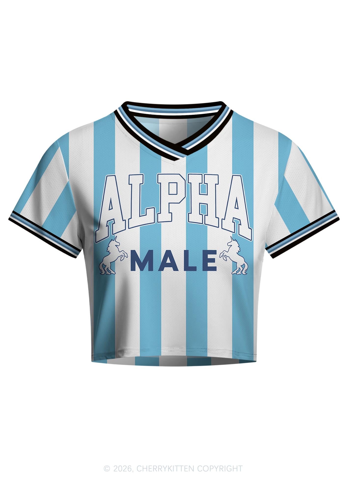 Alpha Male Unicorn Pride Y2K Crop Football Jersey Shirts Cherrykitten