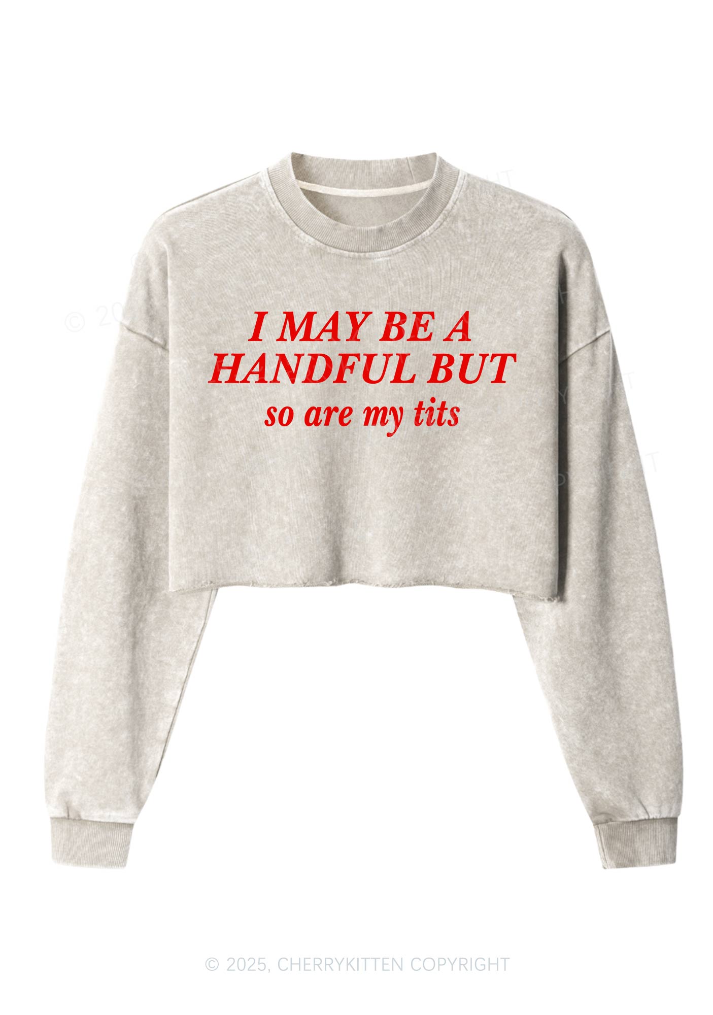 I May Be A Handful Y2K Crop Washed Sweatshirts Cherrykitten