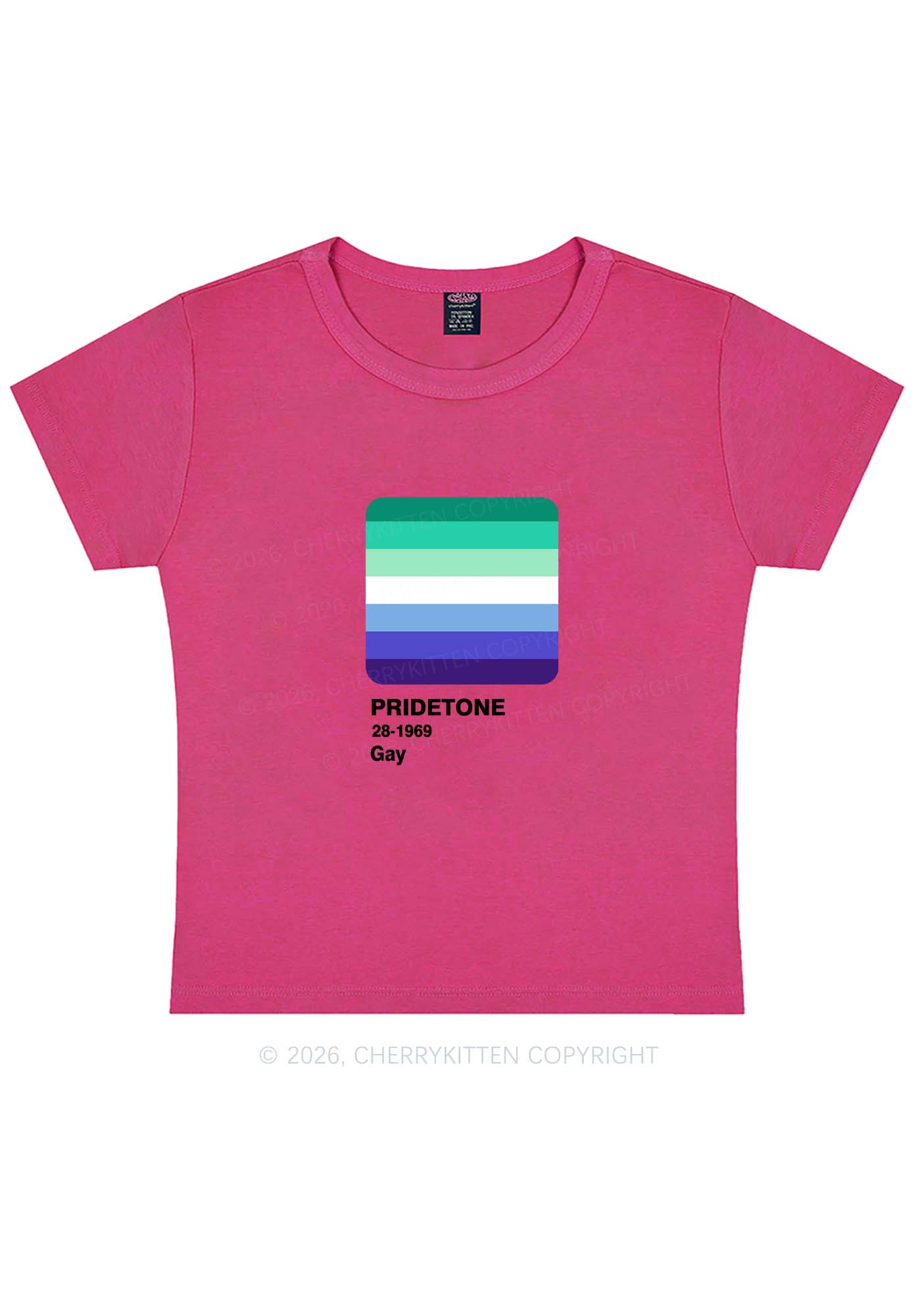 Pridetone Gay Pride Y2K Baby Tee Cherrykitten
