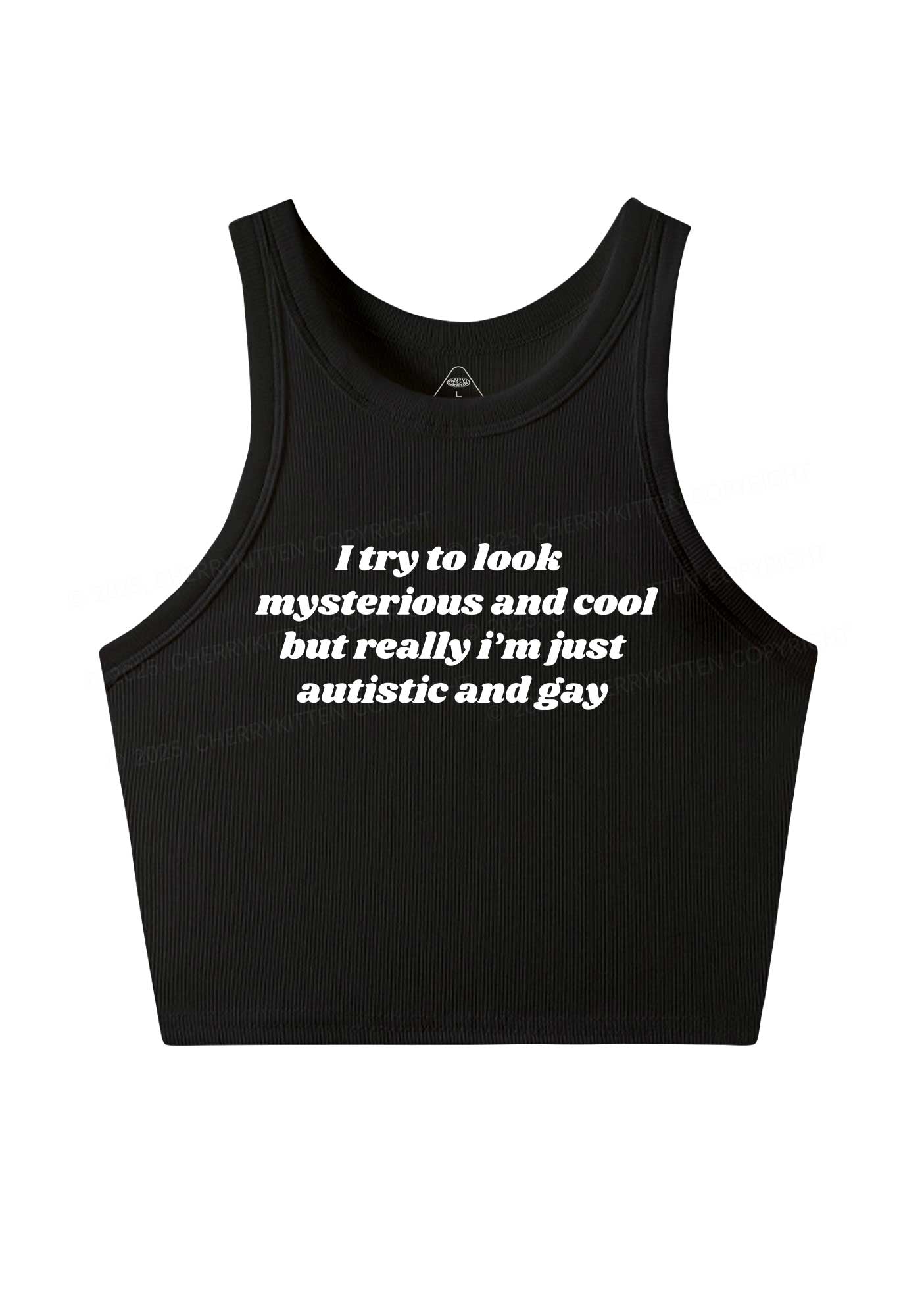 Im Just Autistic And Gay Pride Y2K Crop Tank Top Cherrykitten