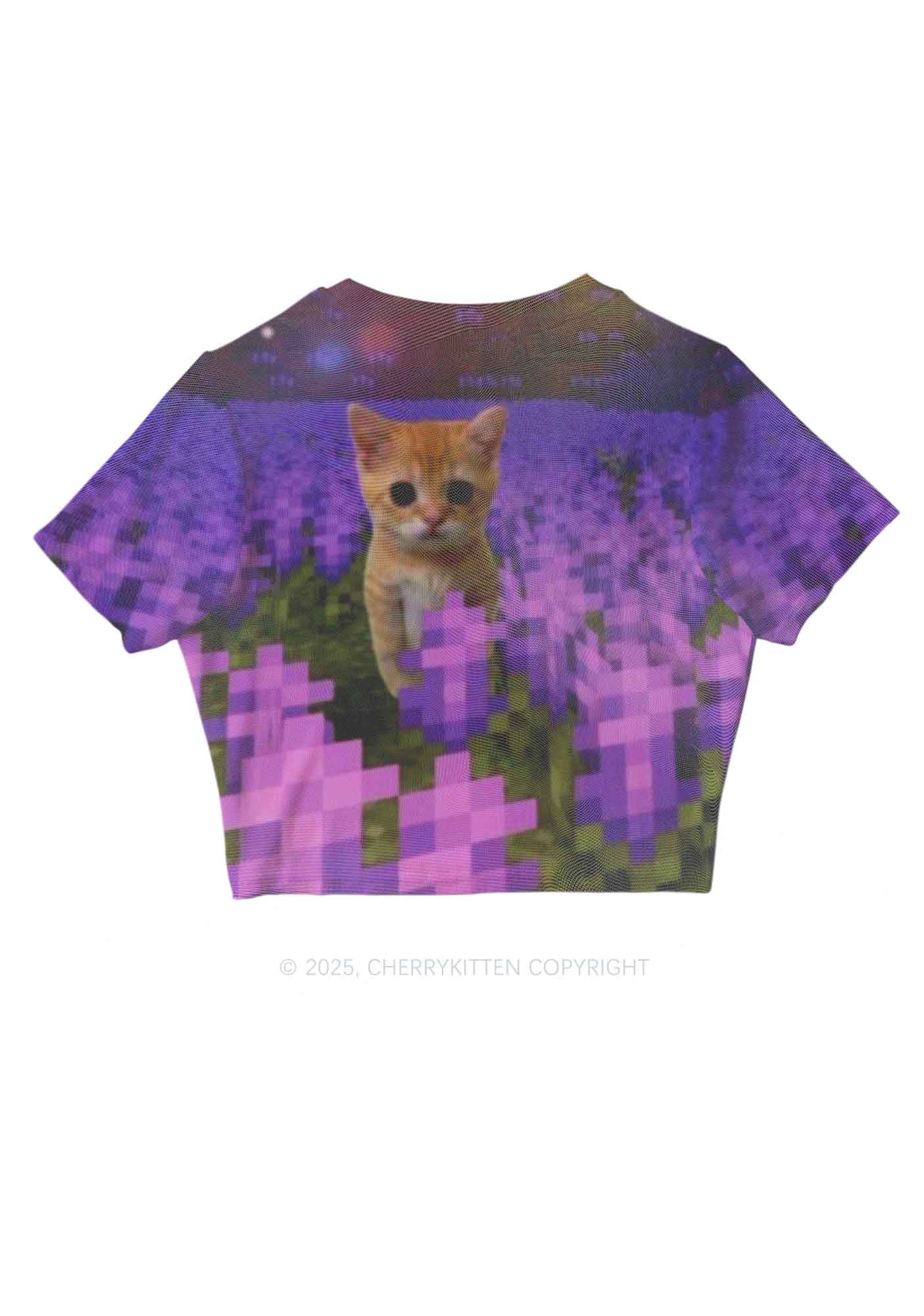 Lavender Kitten Y2K Mesh Crop Top Cherrykitten
