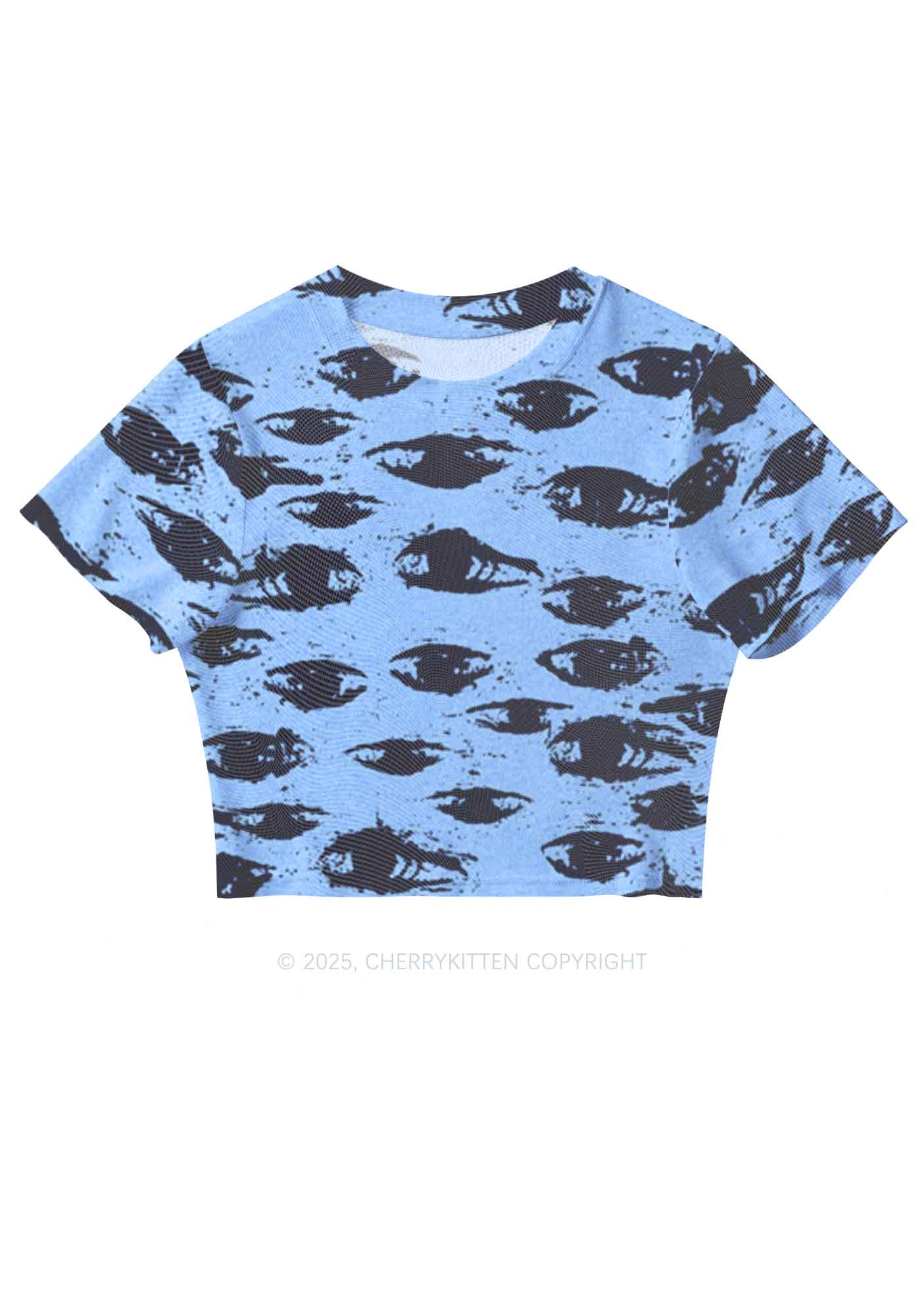 Eyes In The Blue Y2K Mesh Crop Top Cherrykitten