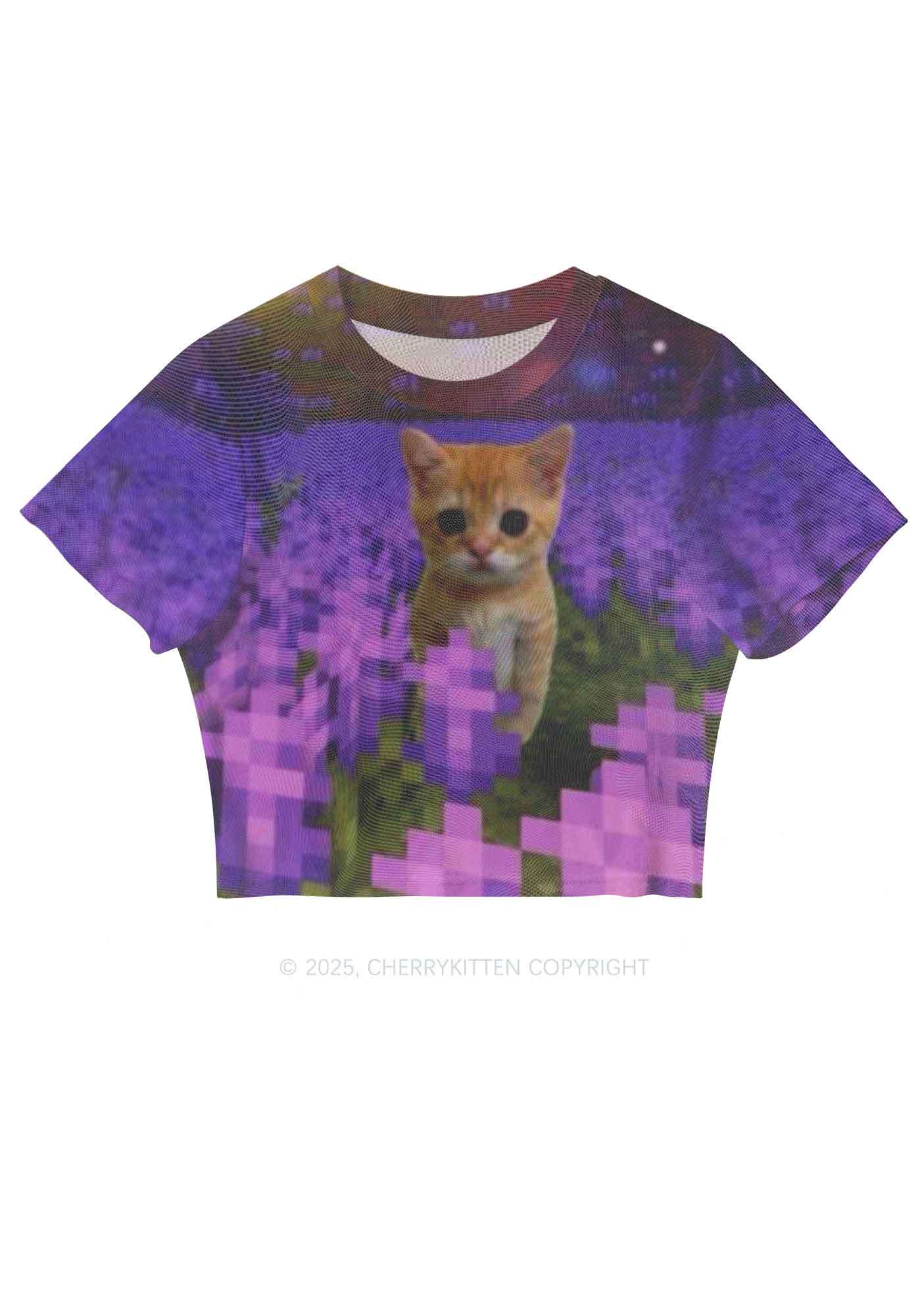 Lavender Kitten Y2K Mesh Crop Top Cherrykitten