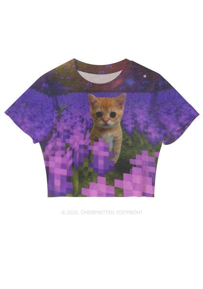 Lavender Kitten Y2K Mesh Crop Top Cherrykitten