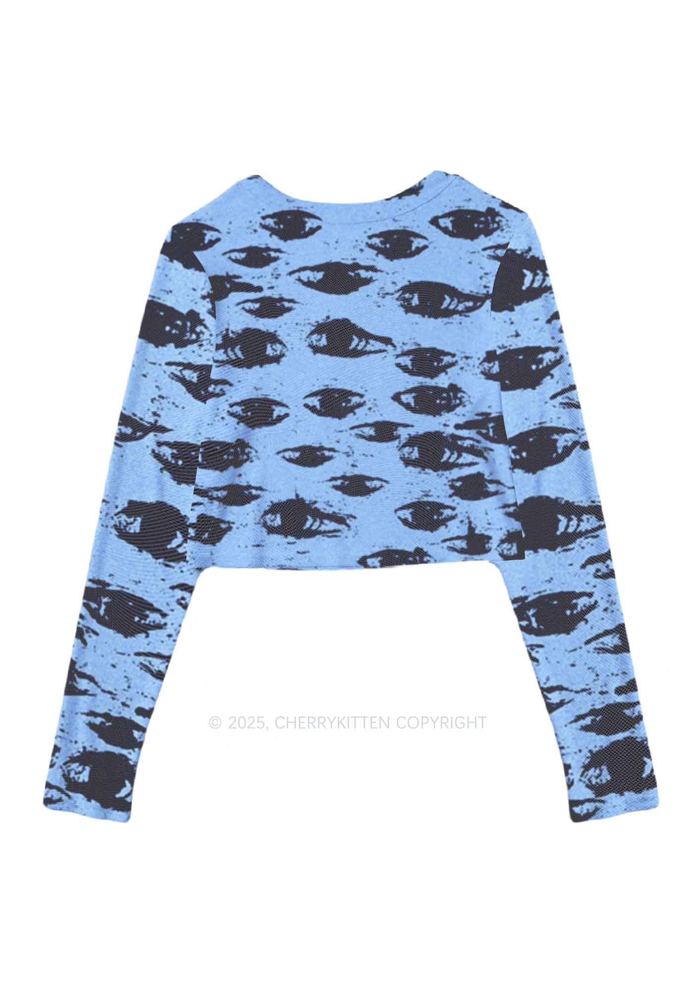 Eyes In The Blue Y2K Mesh Long Sleeve Crop Top Cherrykitten