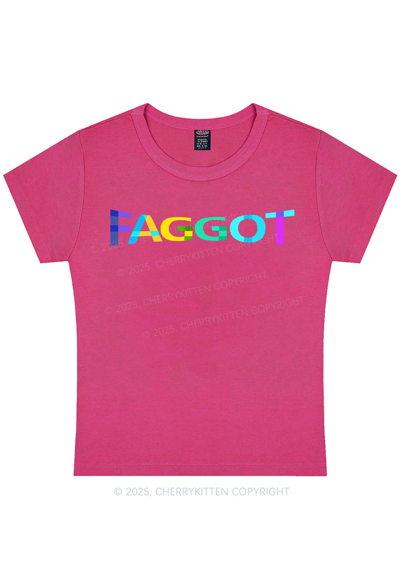 Colorful Faggot Pride Y2K Baby Tee Cherrykitten