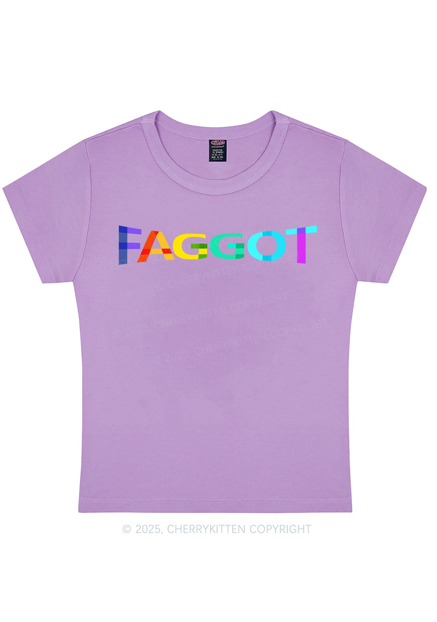 Colorful Faggot Pride Y2K Baby Tee Cherrykitten