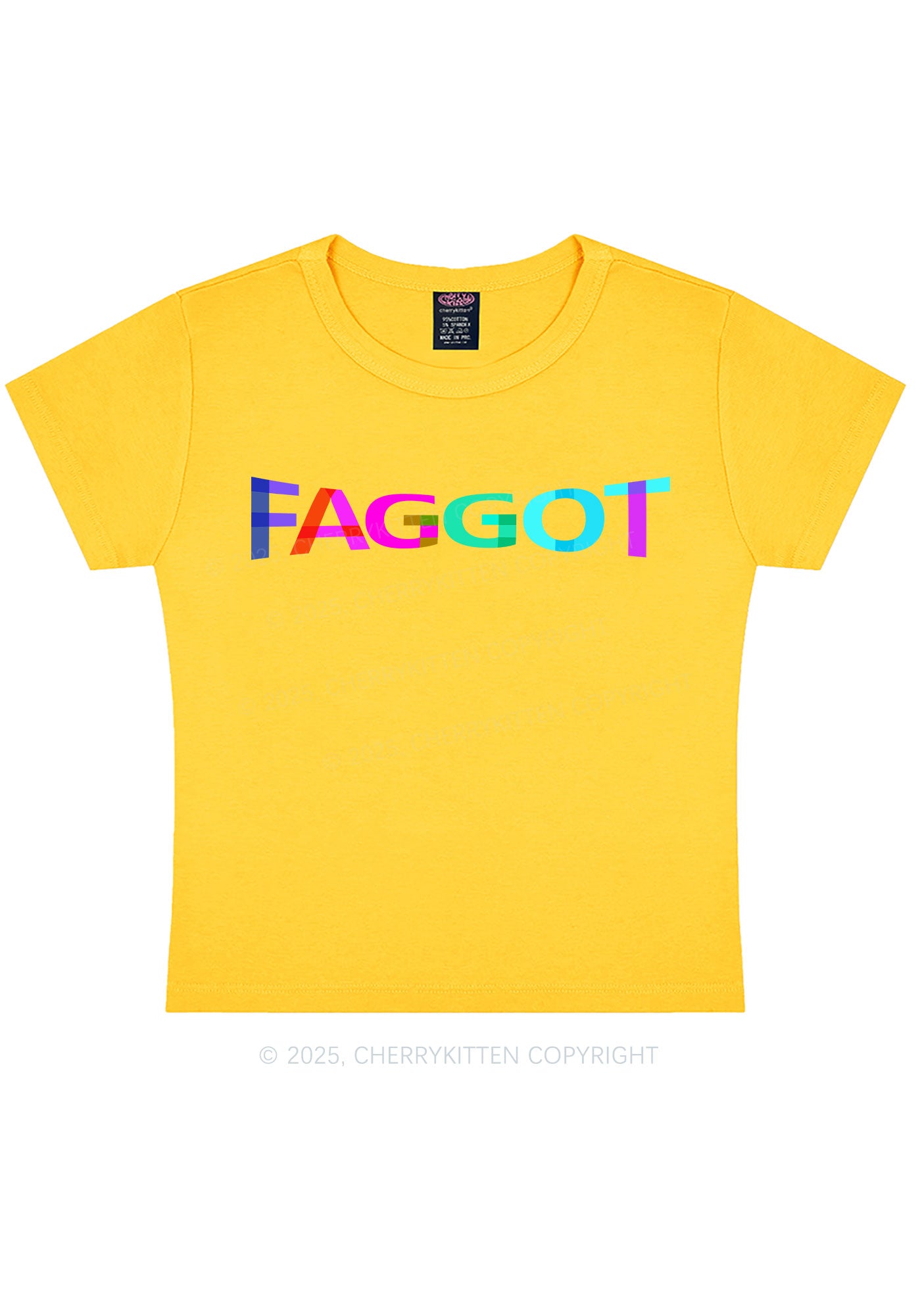 Colorful Faggot Pride Y2K Baby Tee Cherrykitten