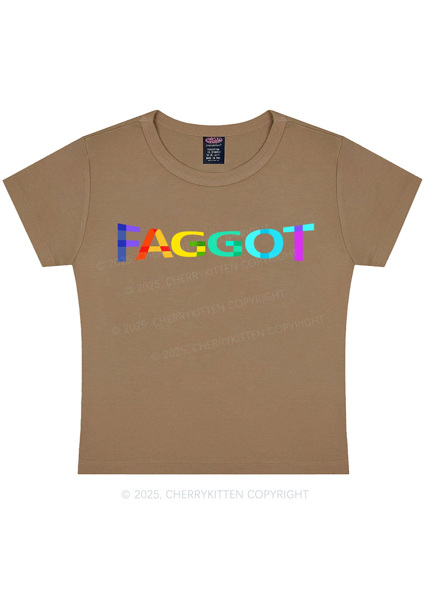 Colorful Faggot Pride Y2K Baby Tee Cherrykitten