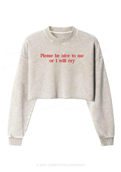 Embroidered Please Be Nice To Me Y2K Crop Washed Sweatshirts Cherrykitten