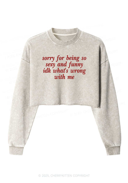 Embroidered Sorry For Being So Funny Y2K Crop Washed Sweatshirts Cherrykitten