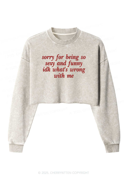Embroidered Sorry For Being So Funny Y2K Crop Washed Sweatshirts Cherrykitten
