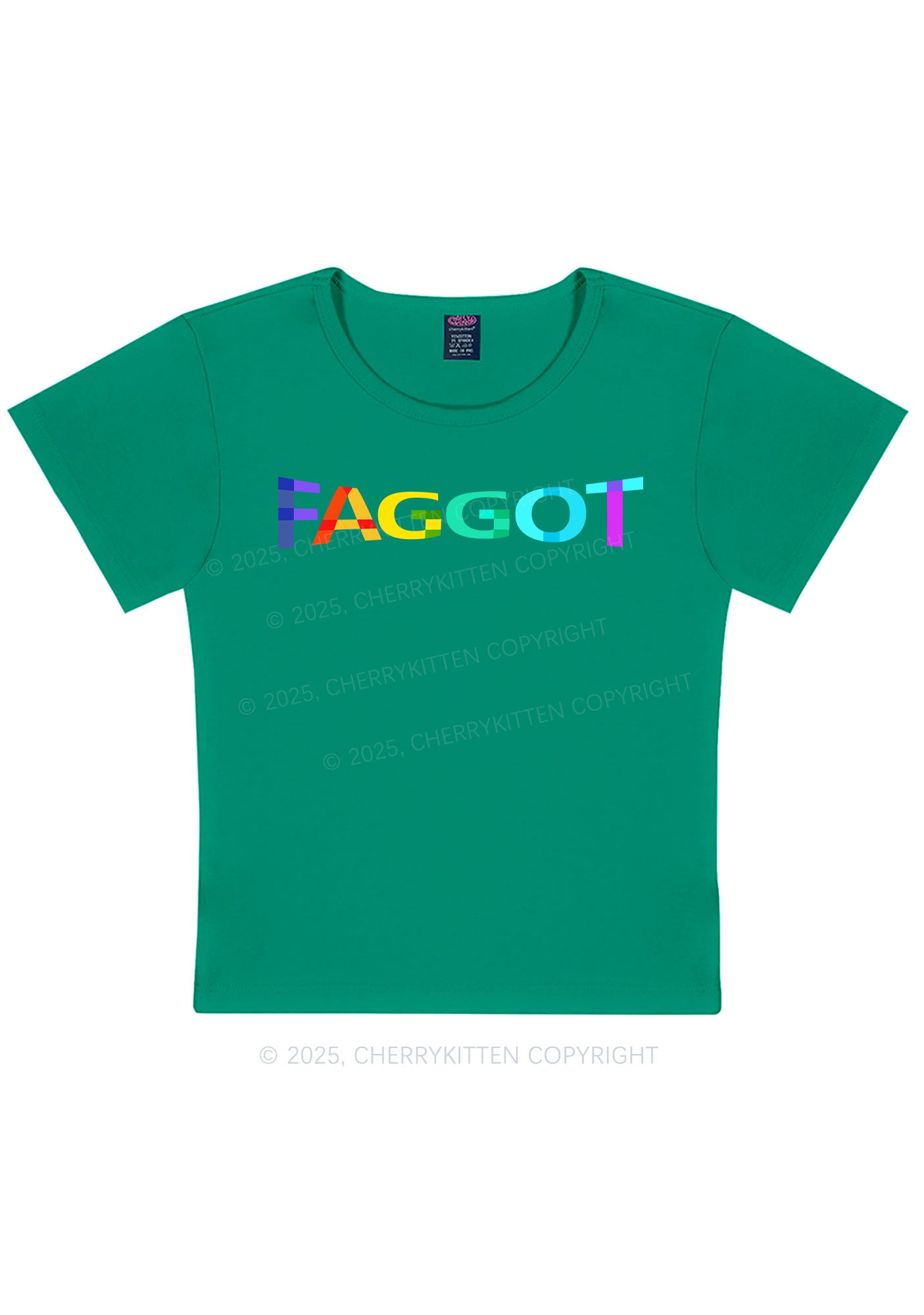Colorful Faggot Pride Y2K Baby Tee Cherrykitten