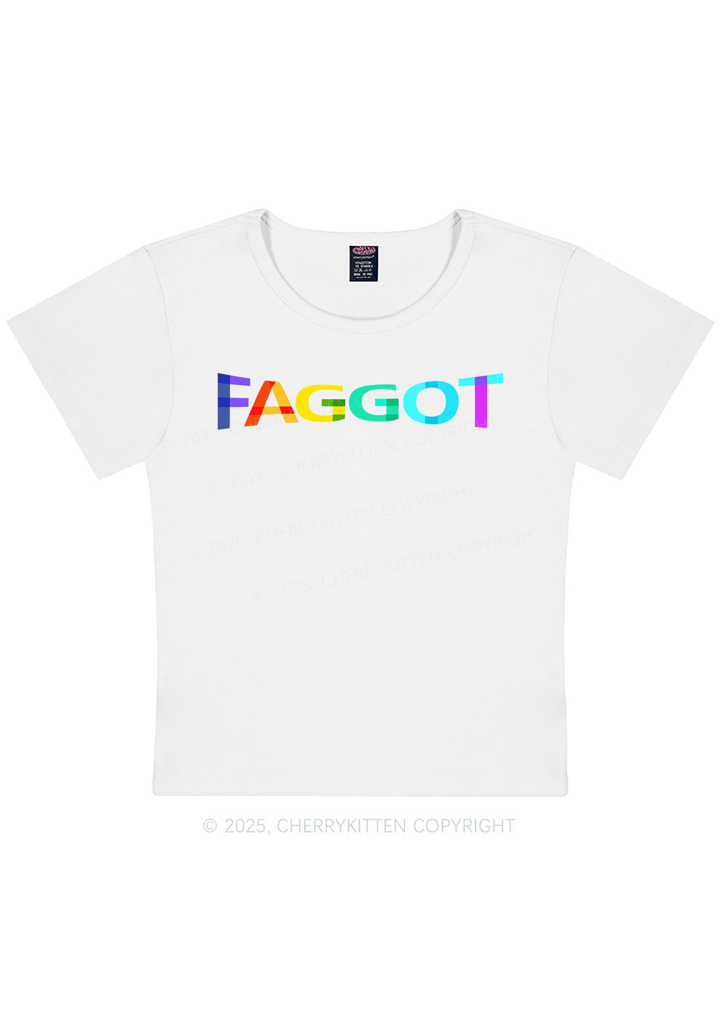 Colorful Faggot Pride Y2K Baby Tee Cherrykitten