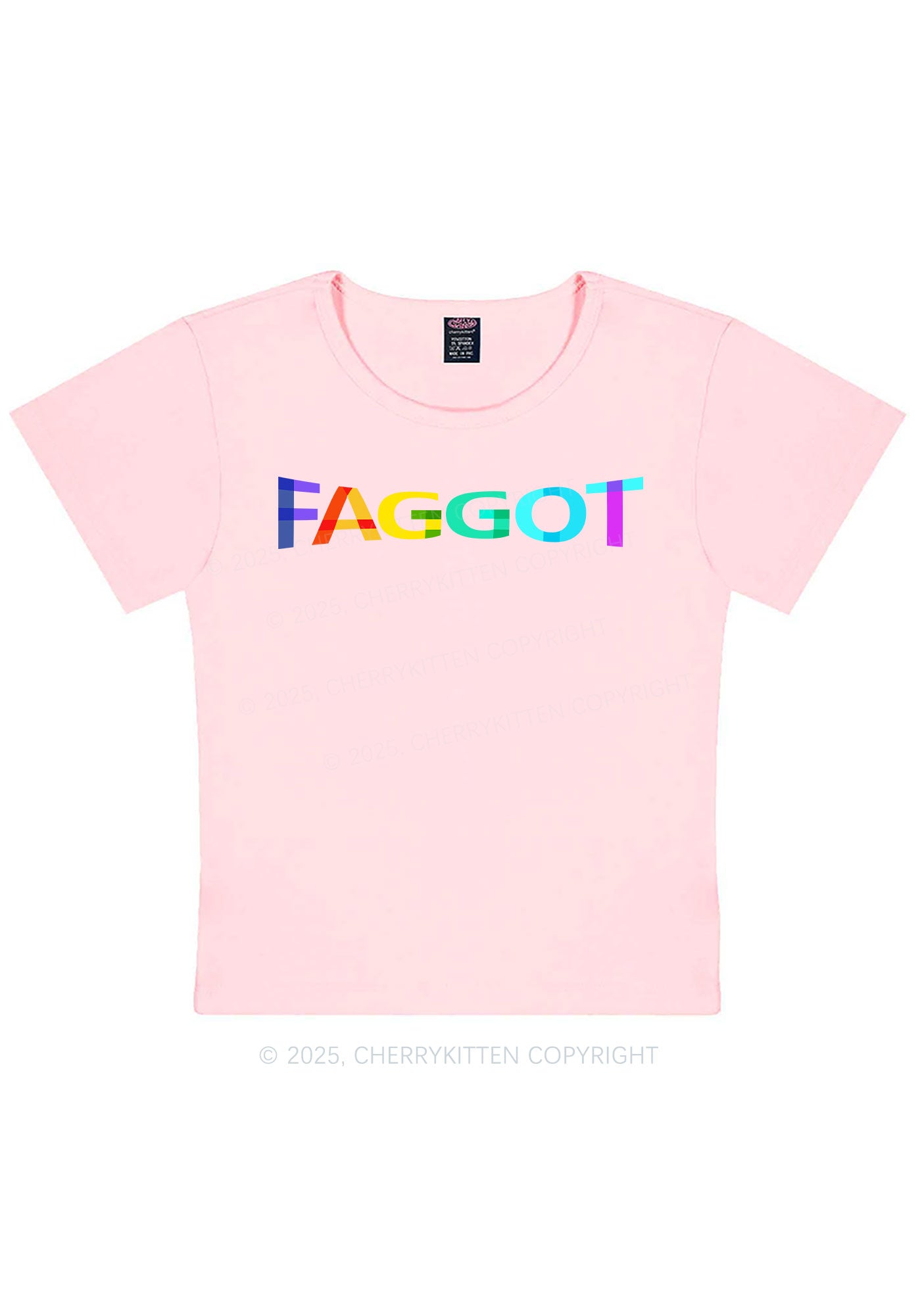 Colorful Faggot Pride Y2K Baby Tee Cherrykitten