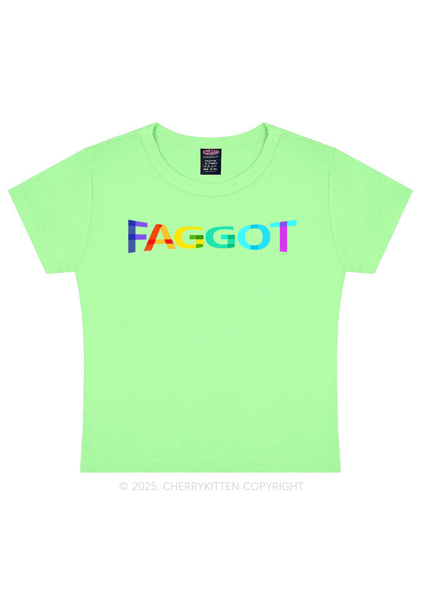 Colorful Faggot Pride Y2K Baby Tee Cherrykitten