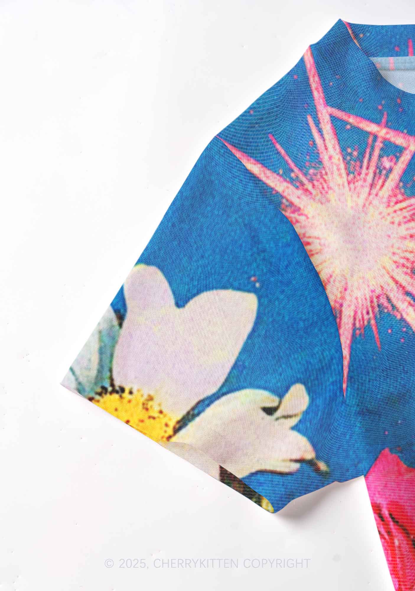 Blooming Flowers Y2K Mesh Crop Top Cherrykitten