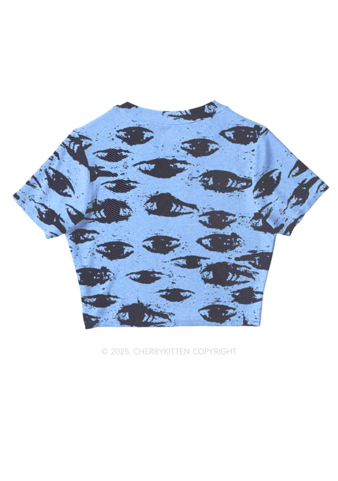 Eyes In The Blue Y2K Mesh Crop Top Cherrykitten