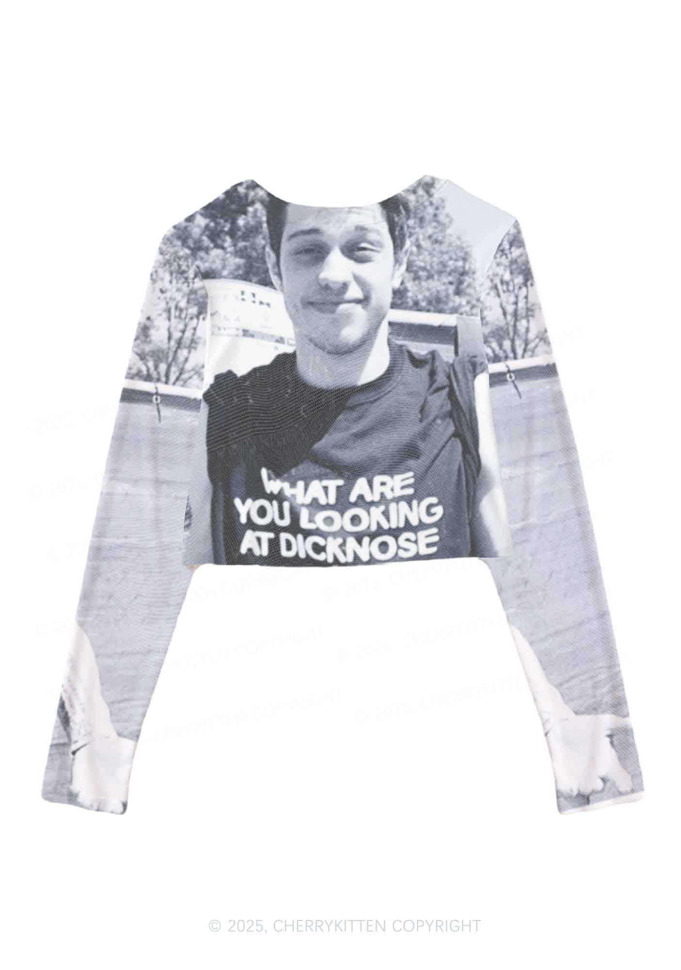 What Are You Looking At Y2K Mesh Long Sleeve Crop Top Cherrykitten