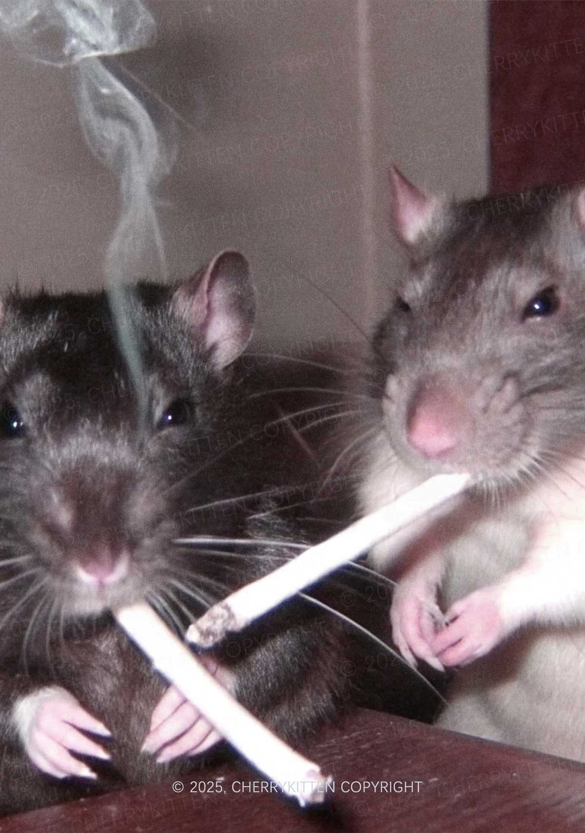 Smoking Rats Y2K Tyvek Tote Bags Cherrykitten