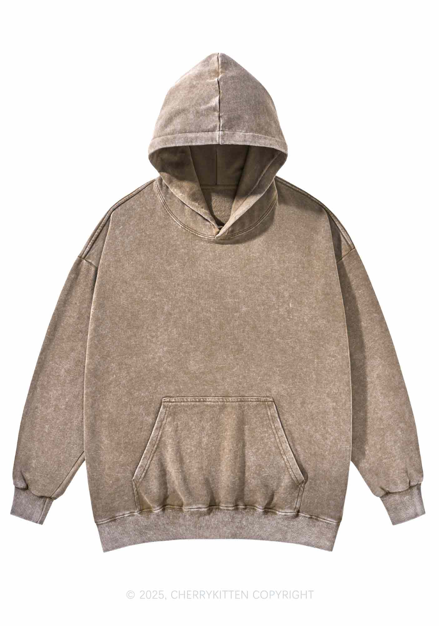 Plain Y2K Washed Hoodie Cherrykitten