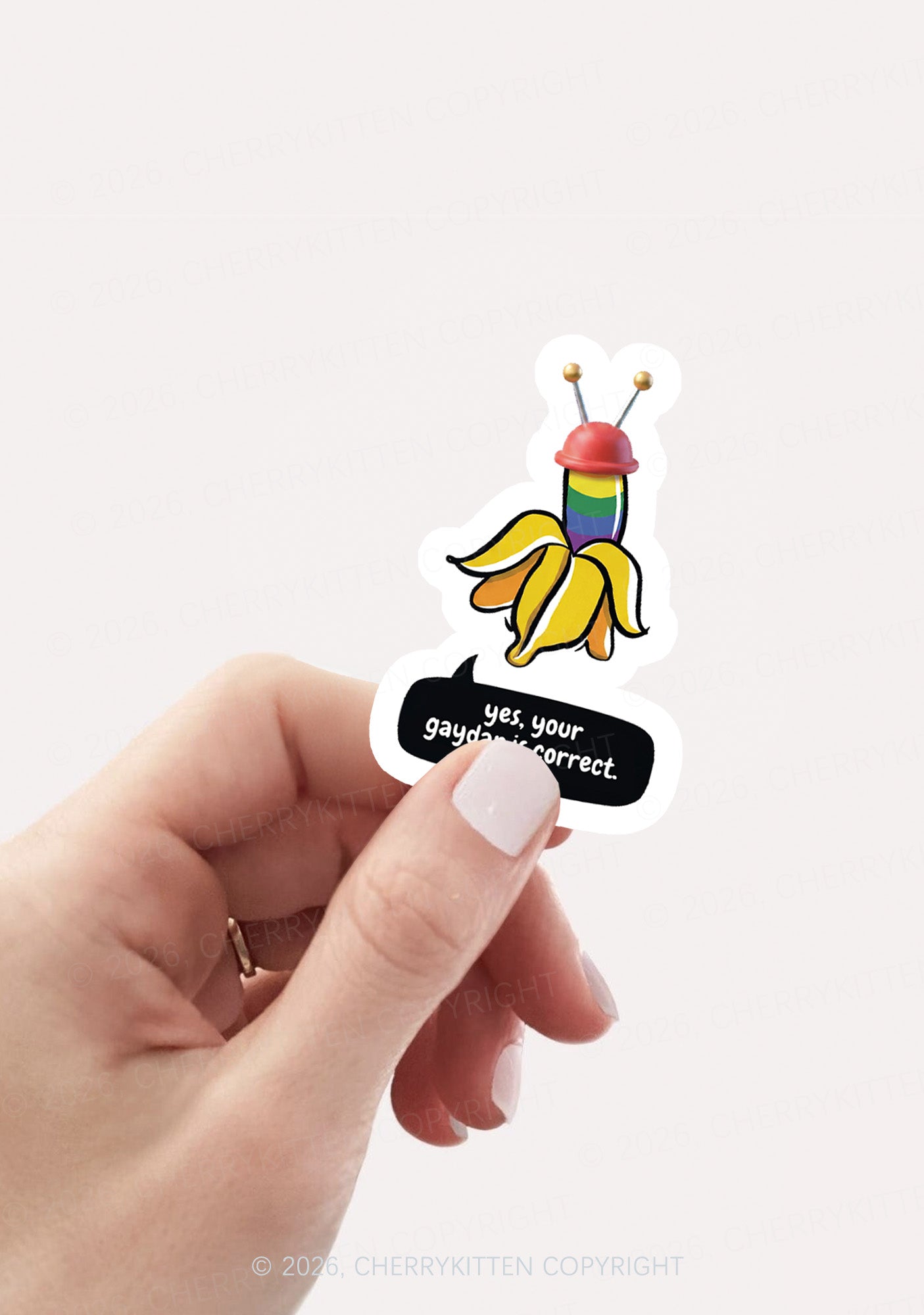 Your Gaydar Is Correct Pride 1pc Y2K Sticker Cherrykitten