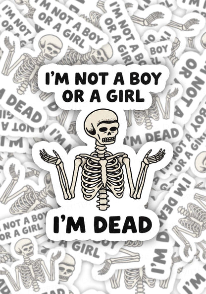Im Not A Boy Or A Girl Pride 1pc Y2K Sticker Cherrykitten