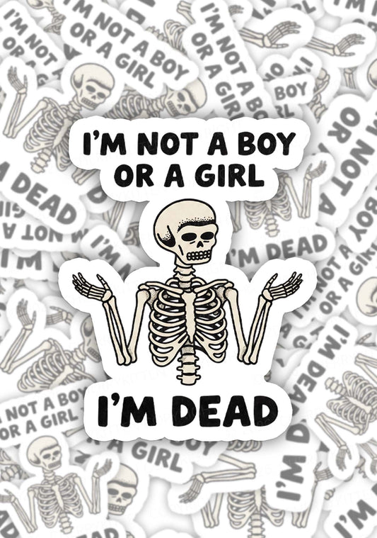 Im Not A Boy Or A Girl Pride 1pc Y2K Sticker Cherrykitten