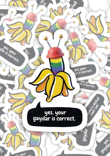 Your Gaydar Is Correct Pride 1pc Y2K Sticker Cherrykitten