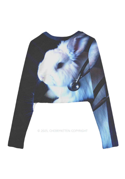 Bunny Doctor Y2K Mesh Long Sleeve Crop Top Cherrykitten