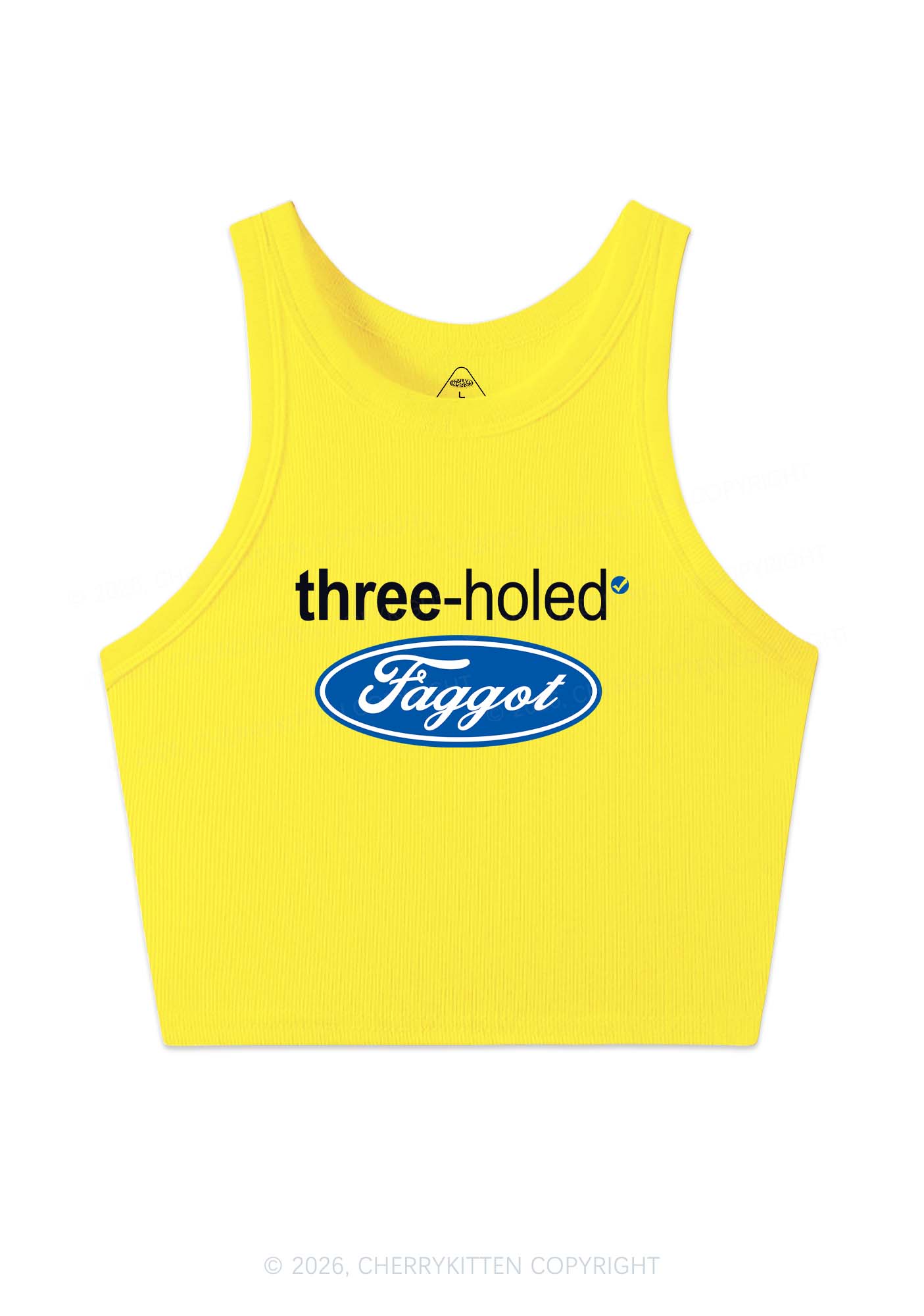 Three Holed Faggot Pride Y2K Crop Tank Top Cherrykitten